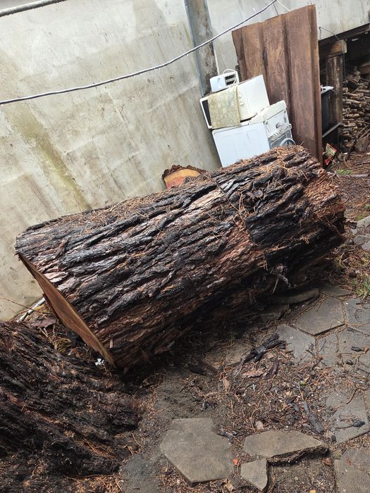 Почистване на запустели парцели ,дворове и терени