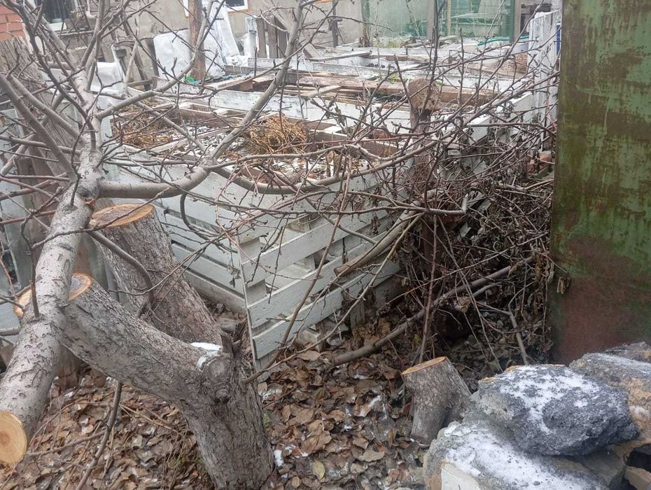 Дрова отдам даром