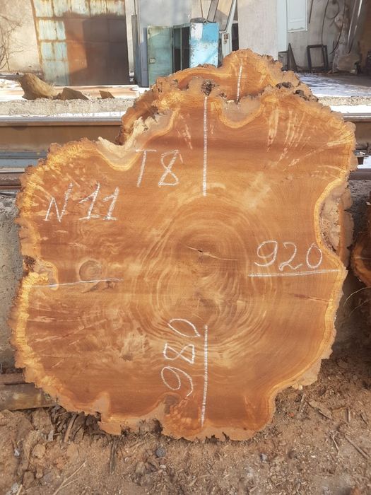 Карагач торцевые спилы
