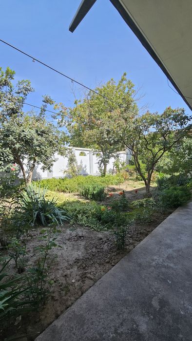 Продаю дом по цене голой земли под гостиницу в центре Мирабадского р-н