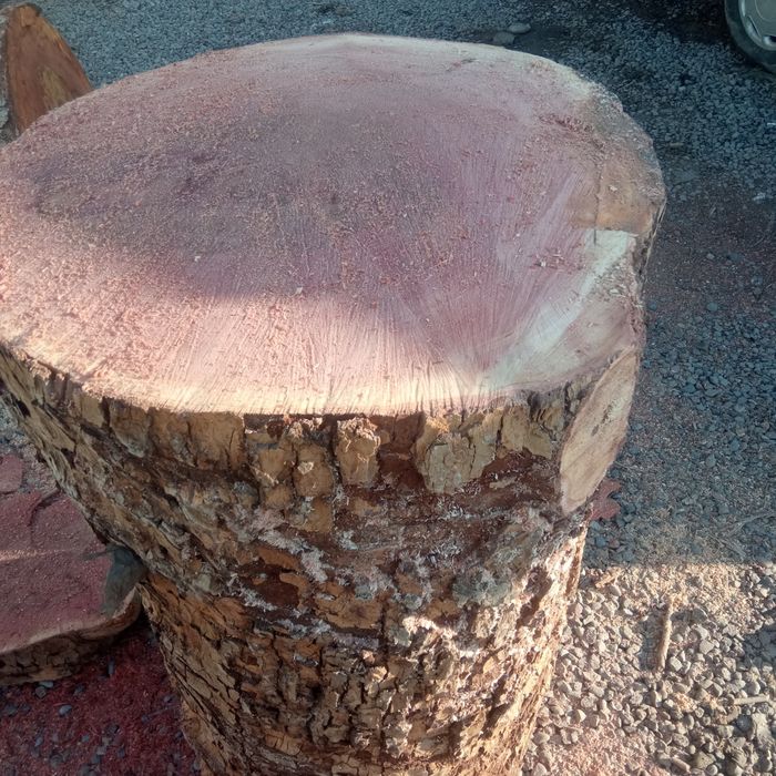 Goshtonkala sotladi 250$ dan