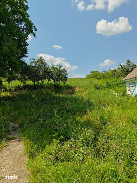 Teren cu casa bătrânească Horlești