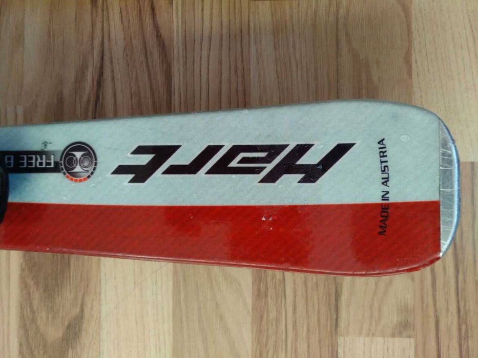 Горные лыжи лыжи