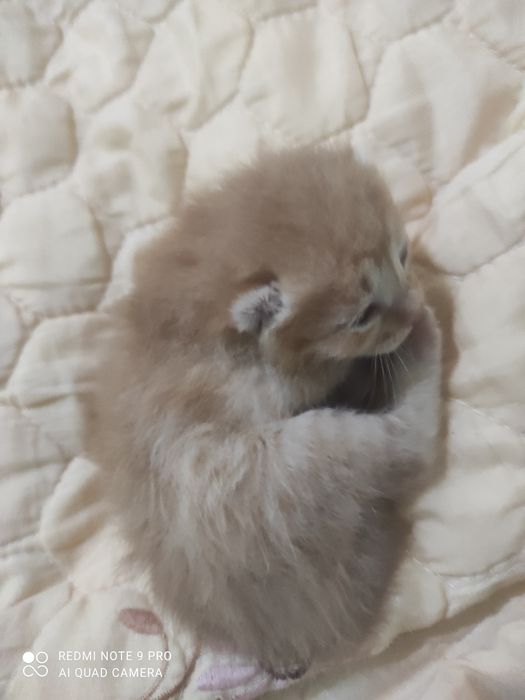 Tugʻulganiga 20kun boʻlgan