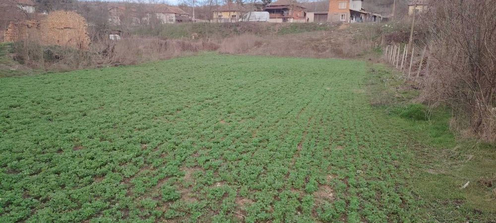 Продава се Къща в Искър - 76 кв.м за 185 €/кв.м - Снимка #11