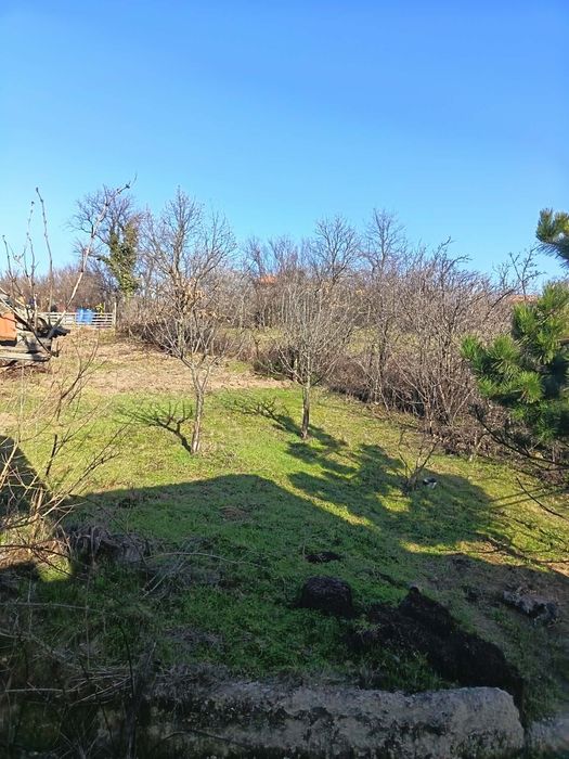 Продава се Къща в с. Паницово, Област Бургас - 70 кв.м за 707 €/кв.м - Снимка #8