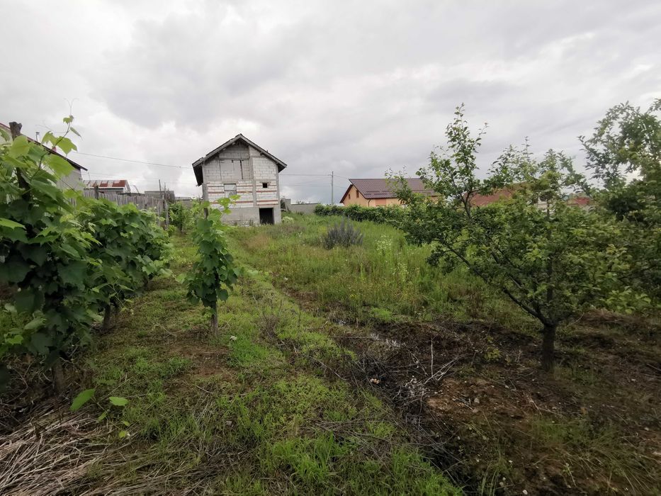 Casa S+P+1 Campul Mare, Albeni