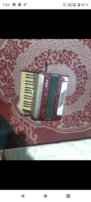 acordeon Timiș vând