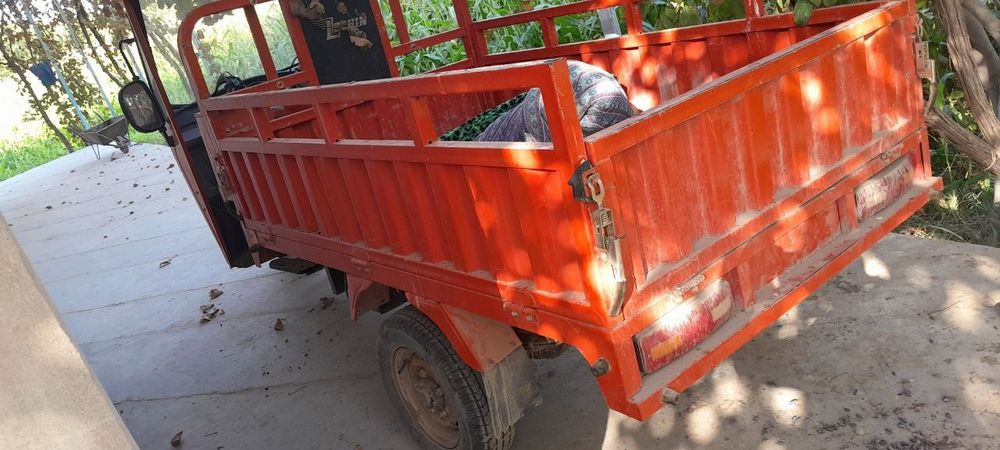 Lochin muravey yili 2023