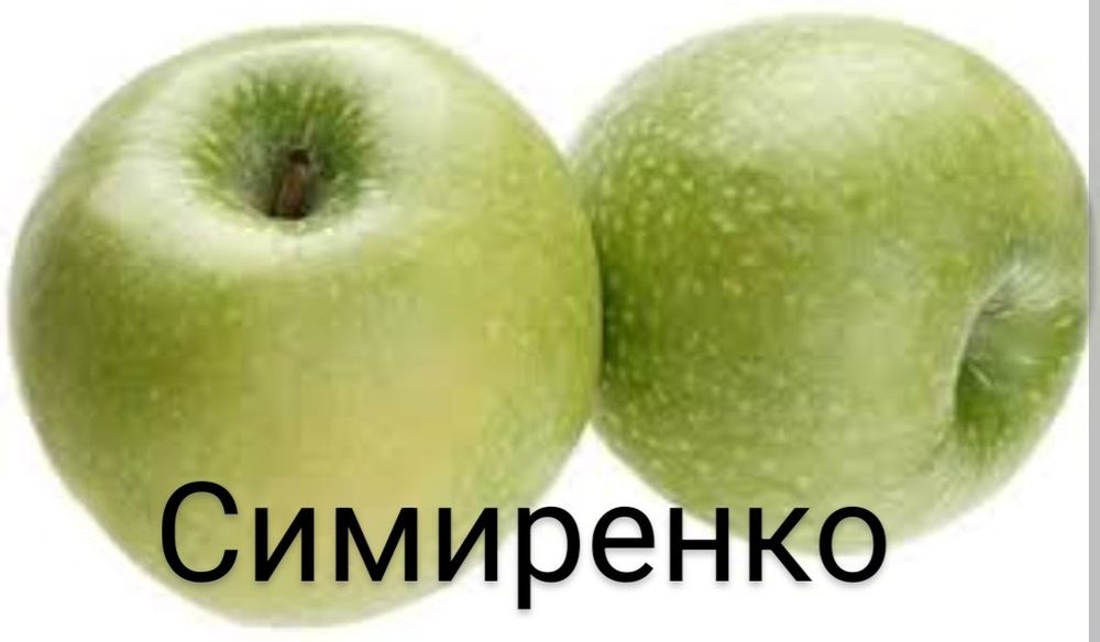 Порно панталондар мен колготки