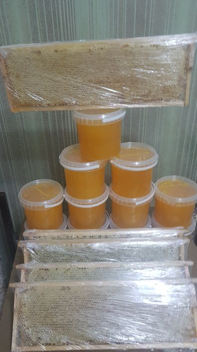 Продам мед 2025 со своей пасеки