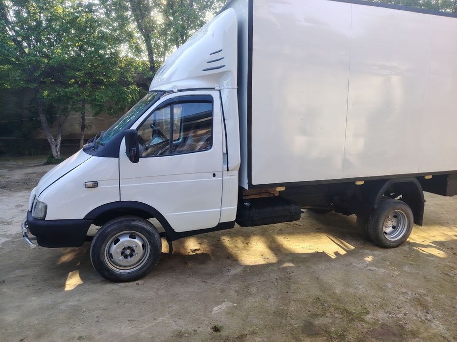 Gazel sotka sotiladi