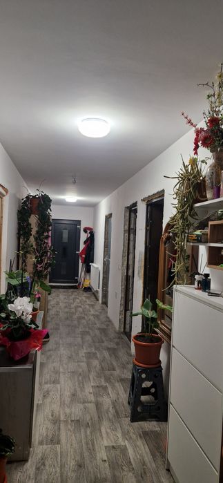 Vând casa 200m ² Vartina teren 11000 m² din care 1220 intravilan, restul ,extravilan