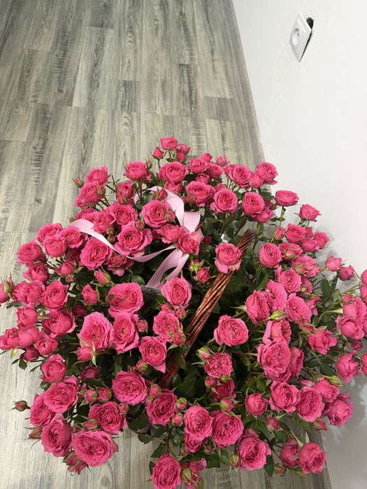 Продам Цветы , розы кустовые