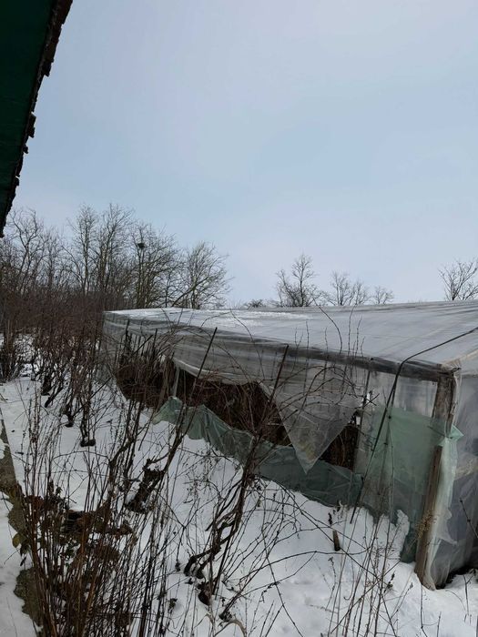 Vând casă la țară Sărulești Sat – curte mare, aproape de București