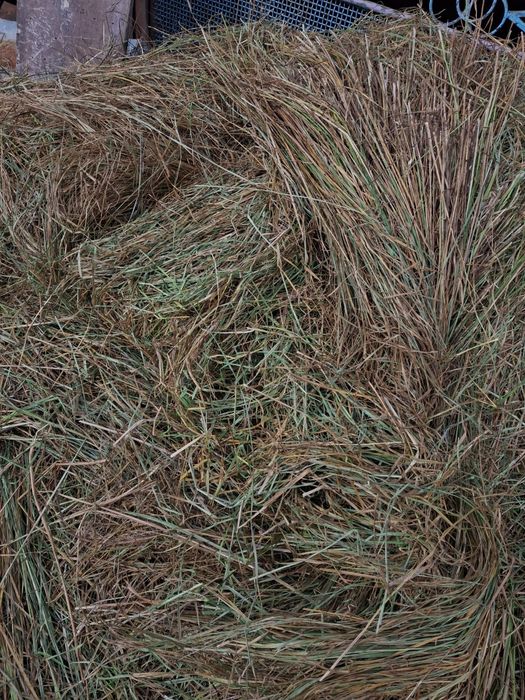 Продаётся сено..