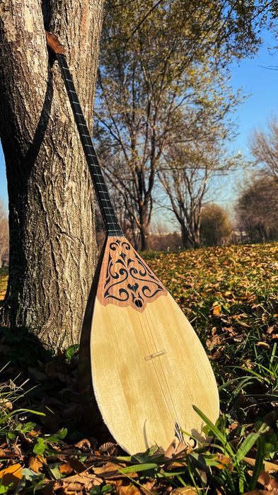 Домбыра оптом чехол для домбра и гитара