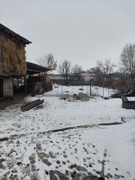 Уй сатылады Продам дом