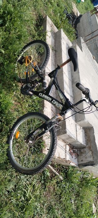 Bicicleta din poza