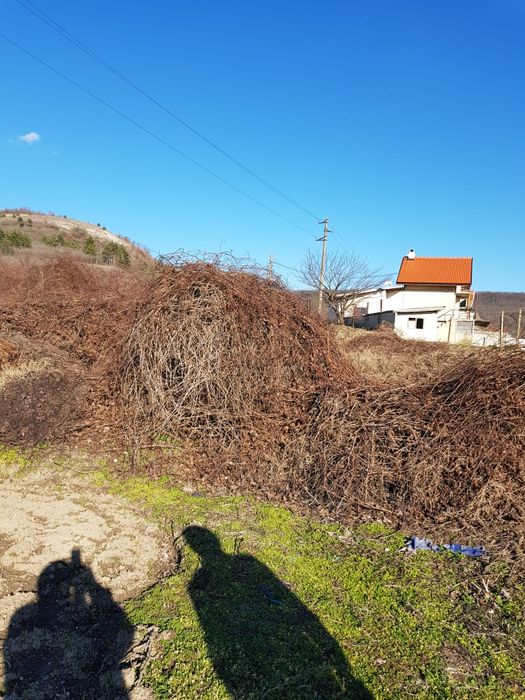 Парцел-къпини ,бивше лозе