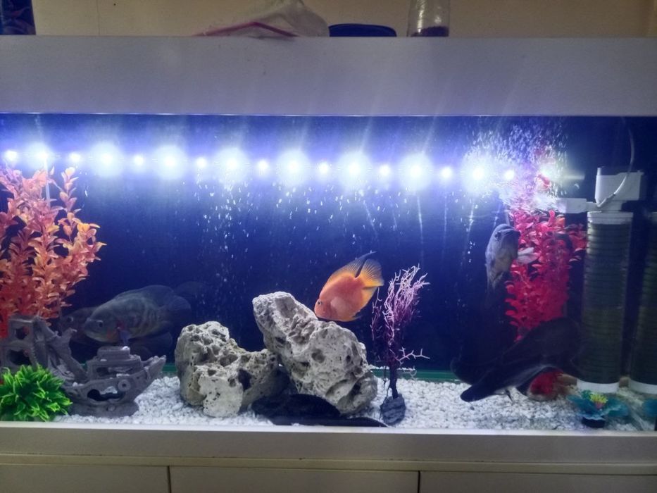 Аквариум сотилади