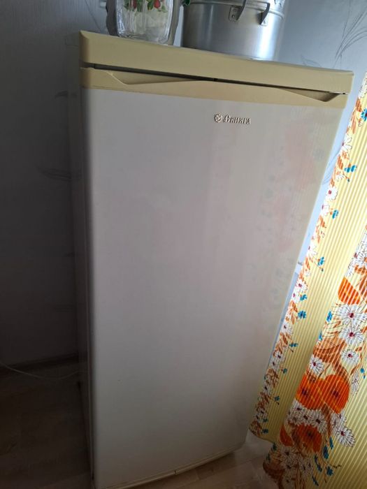 Холодильник Свияга