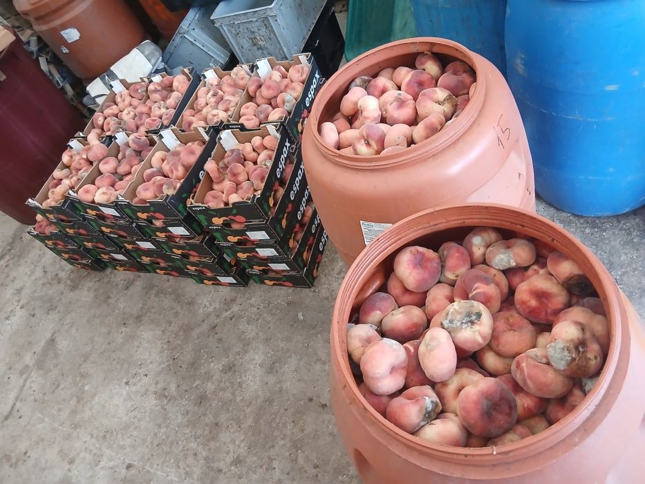 Produs tradițional din fructe Maramureșan