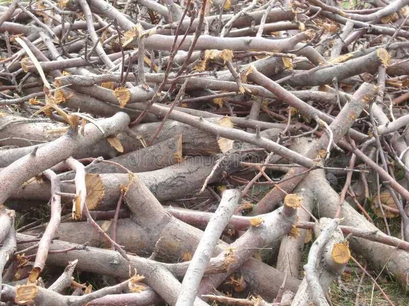 Отдам  даром  дрова