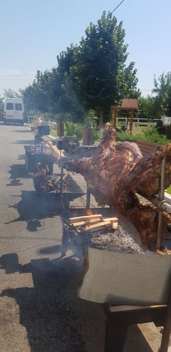 Protap rotisor animale - vitel purcei miei nunti botezuri evenimente