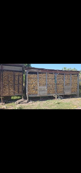 Vand porumb boabe – 5 tone – Șona (Alba)
Nr de contact: 0763352690