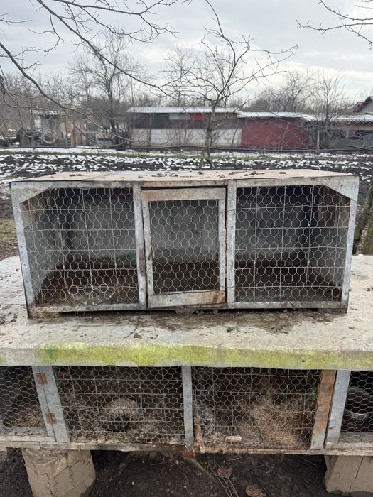 Vand cuști pentru iepuri