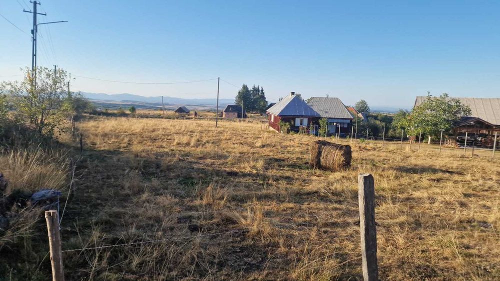 Teren Intravilan Rasca