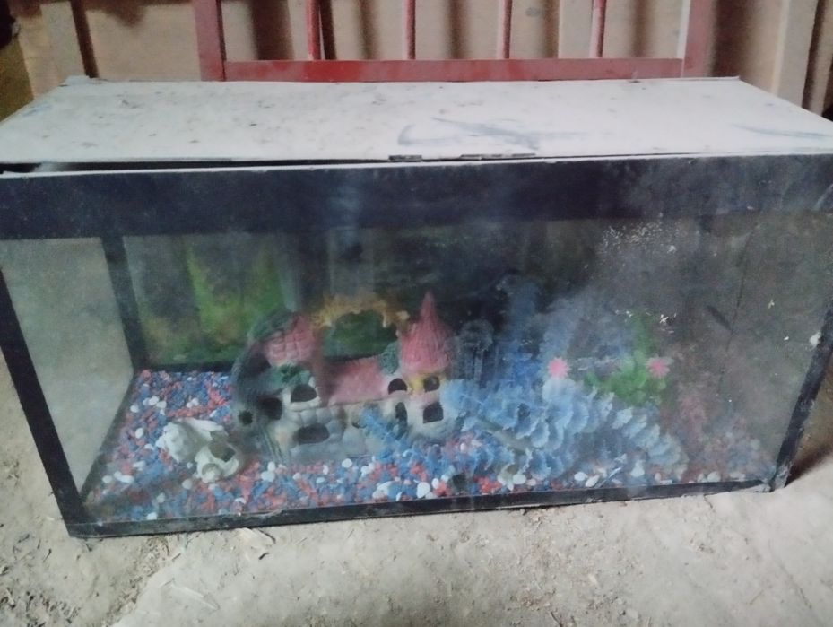 Akvarum sotiladi 2ta