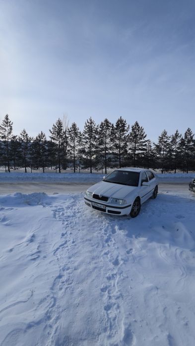 шкода октавия тур