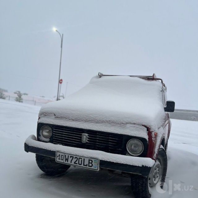 Niva legen sotiladi