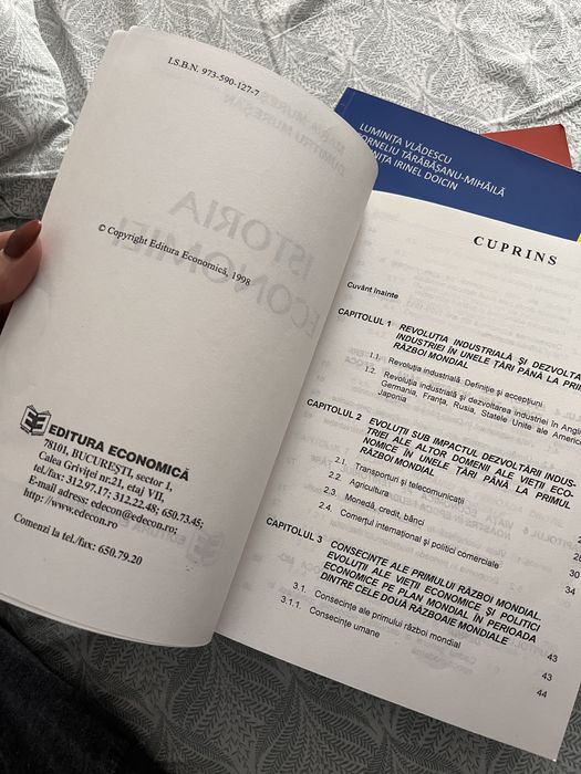 Istoria economiei