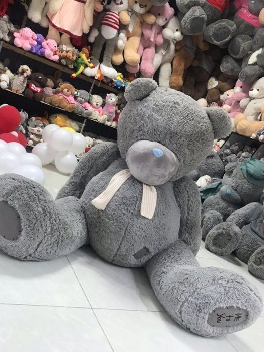 Tedi miyahki teddy