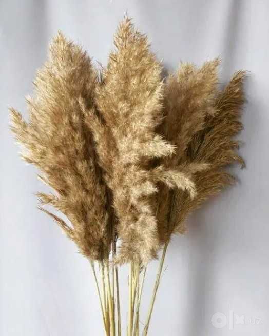 Interyer uchun dekor (qamish gullari)