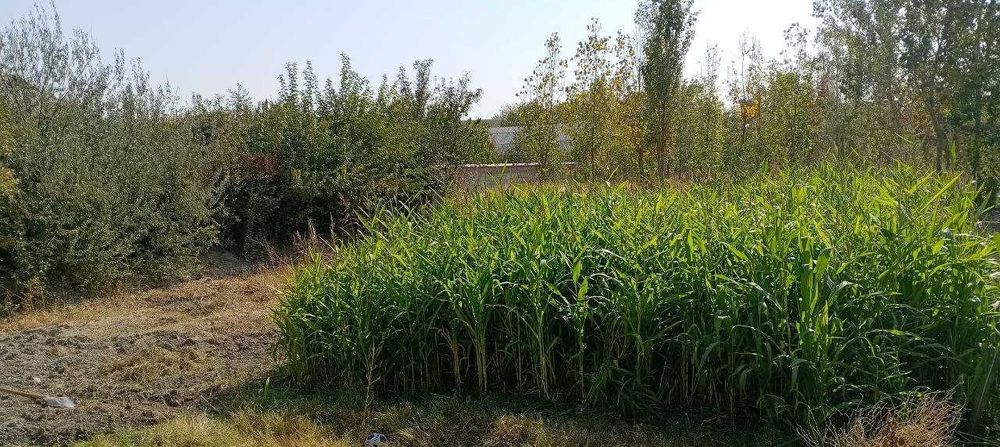 Tayyor yashash uchun uy joy