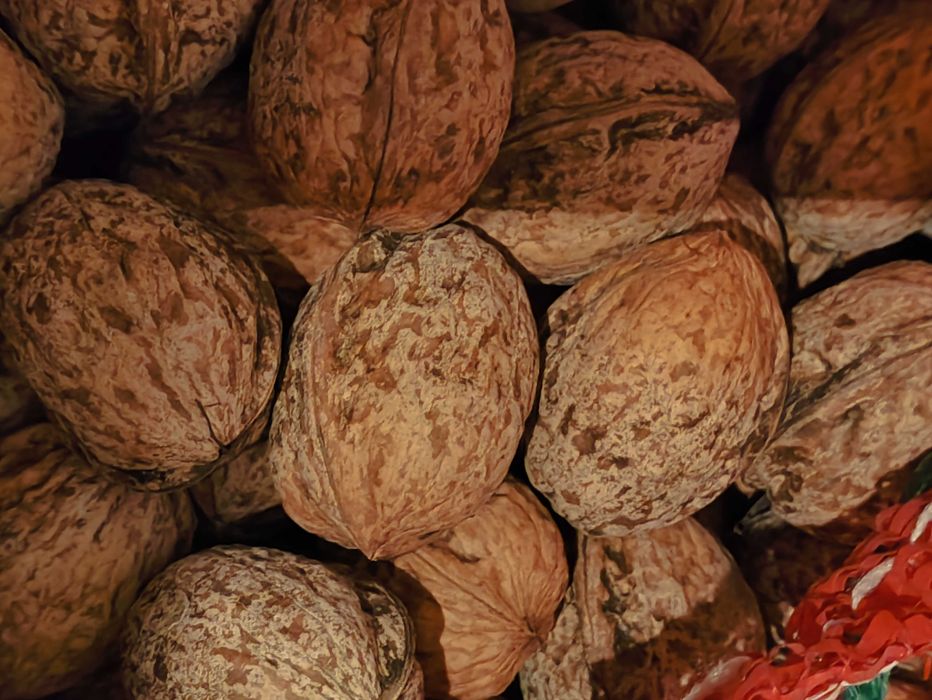 Продам  орехи  тонкокорые