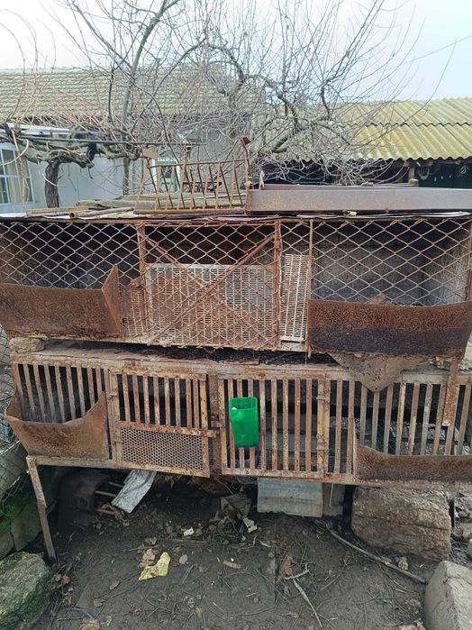 Заичарници клетки