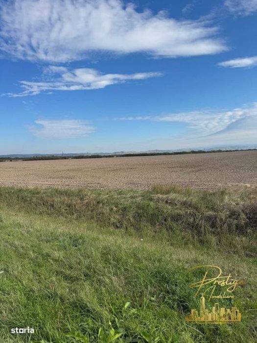 Teren extravilan 2 ha de vanzare in comuna Sacadat - judetul Bihor