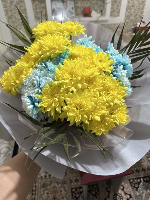 Продам цветы срочно