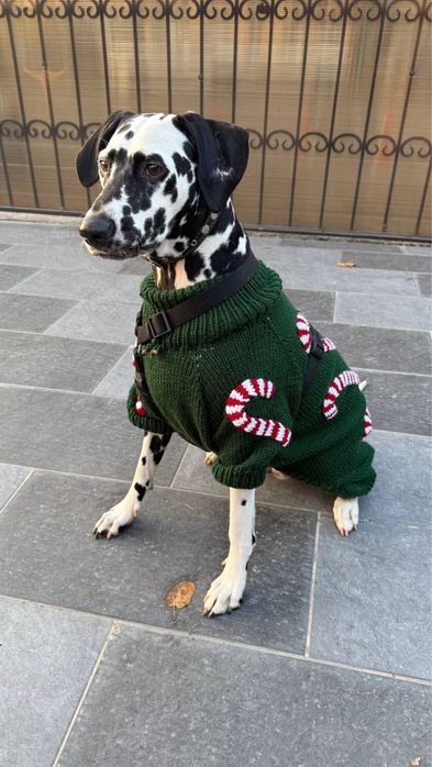 Вязаная одежда для кошек и собак