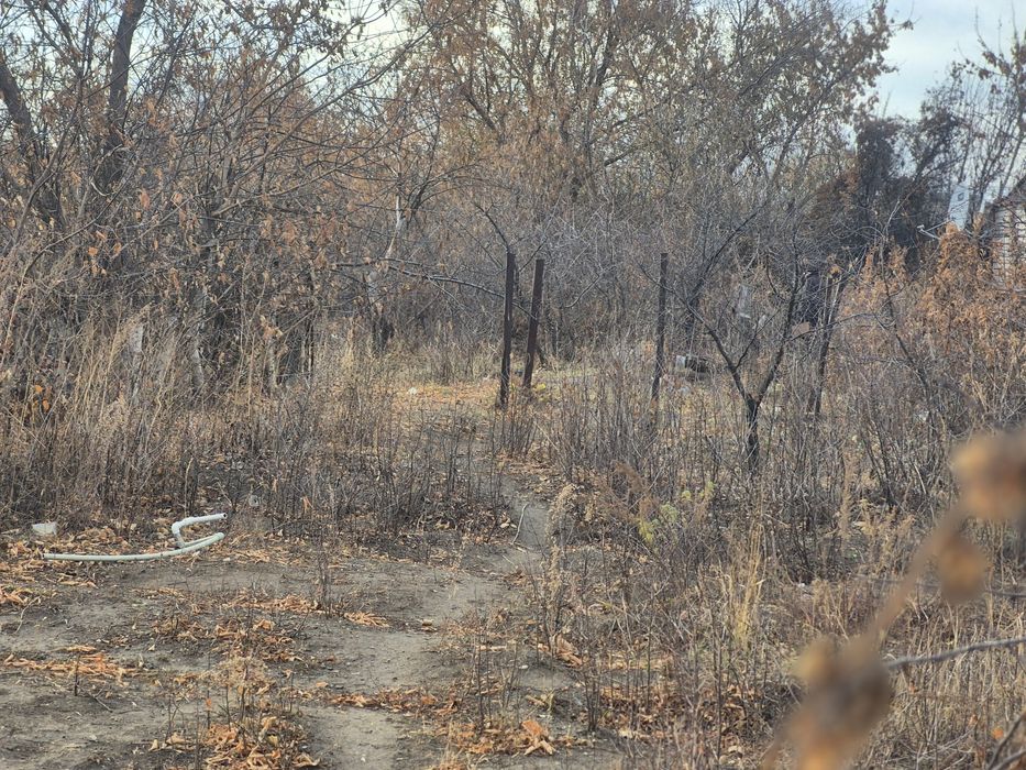 Продам дачный участок