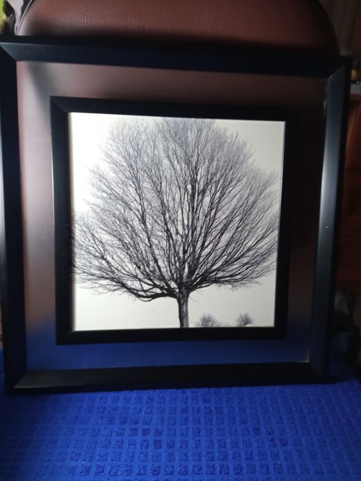 Продам картины из серии осень