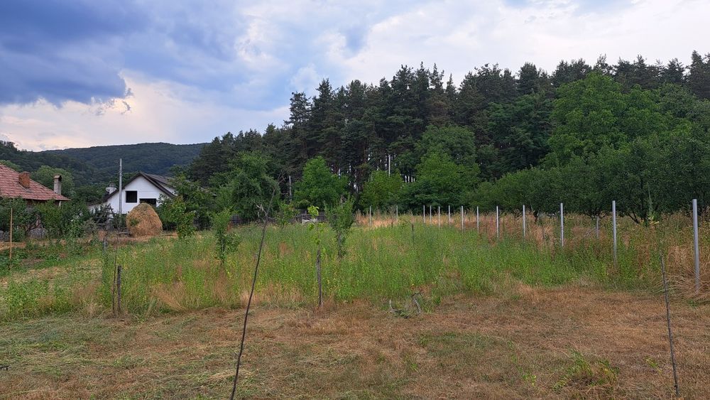 Teren zona de munte 130
