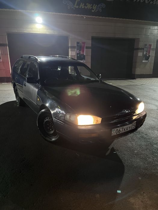 тайота скепто