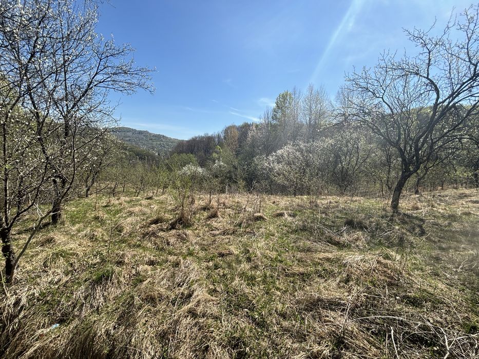 Raul Alb de Sus - extravilan faneata -5246mp