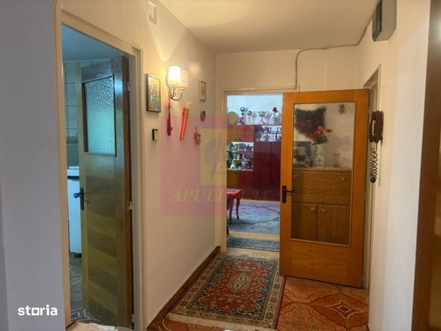 Apartament 3 camere Drumul Sarii.